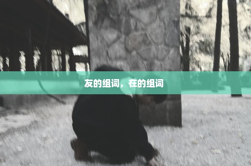 友的组词，在的组词 