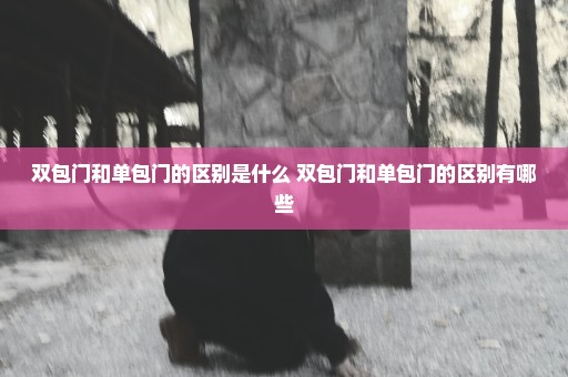 双包门和单包门的区别是什么 双包门和单包门的区别有哪些