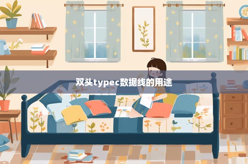 双头typec数据线的用途