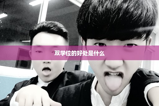 双学位的好处是什么