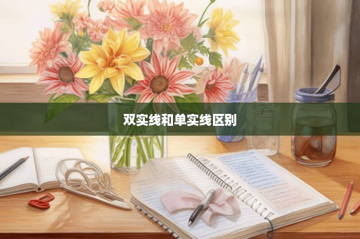 双实线和单实线区别
