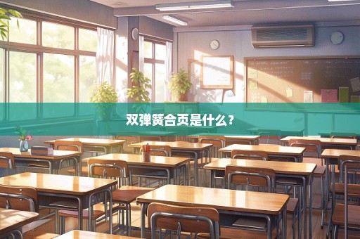 双弹簧合页是什么？