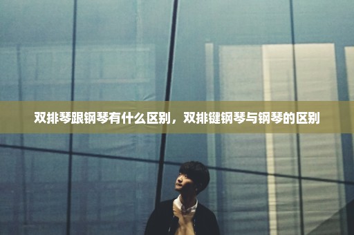 双排琴跟钢琴有什么区别，双排键钢琴与钢琴的区别