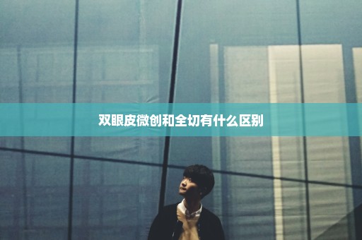 双眼皮微创和全切有什么区别