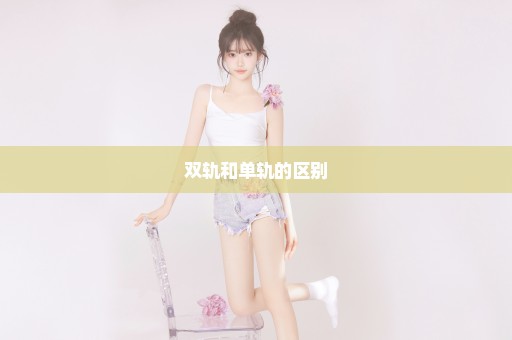 双轨和单轨的区别