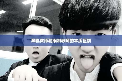 双轨教师和编制教师的本质区别