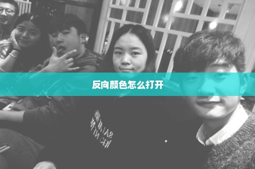 反向颜色怎么打开