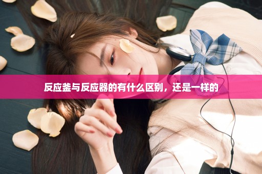 反应釜与反应器的有什么区别，还是一样的