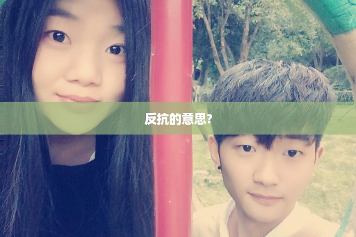 反抗的意思?