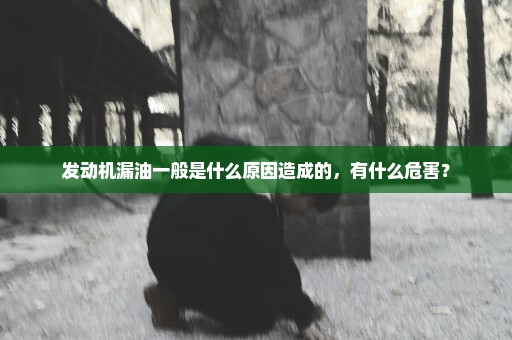 发动机漏油一般是什么原因造成的，有什么危害？