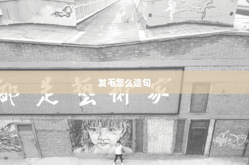 发毛怎么造句