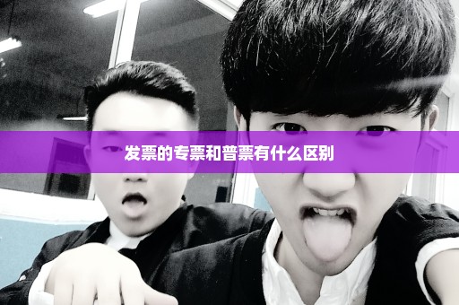 发票的专票和普票有什么区别