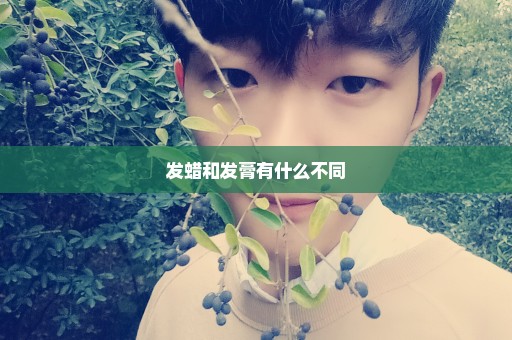 发蜡和发膏有什么不同