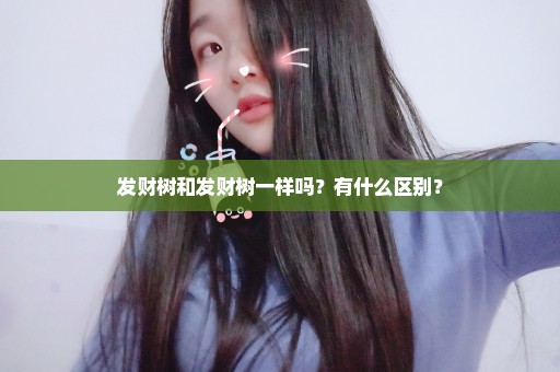 发财树和发财树一样吗？有什么区别？