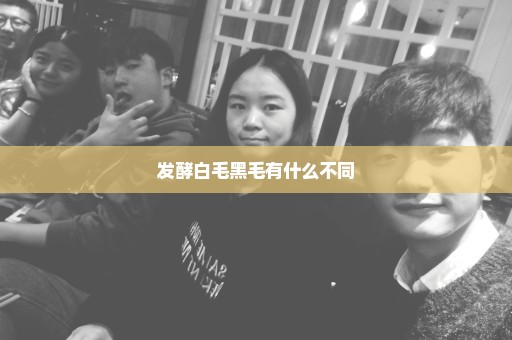发酵白毛黑毛有什么不同