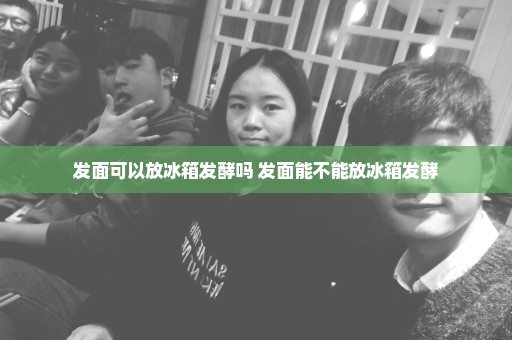 发面可以放冰箱发酵吗 发面能不能放冰箱发酵