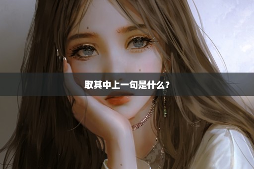 取其中上一句是什么？