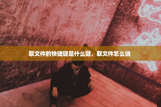 取文件的快捷键是什么键，取文件怎么说 