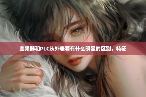 变频器和PLC从外表看有什么明显的区别，特征