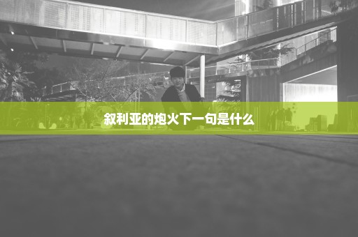 叙利亚的炮火下一句是什么
