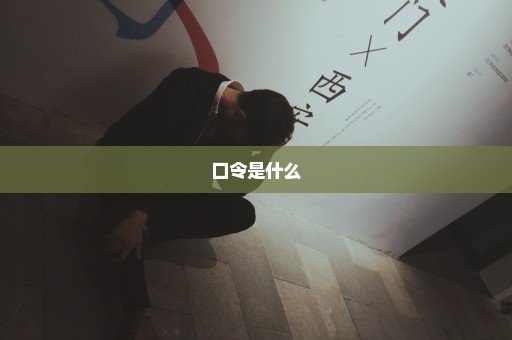 口令是什么