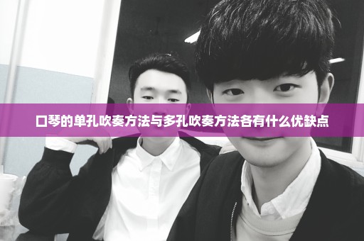 口琴的单孔吹奏方法与多孔吹奏方法各有什么优缺点