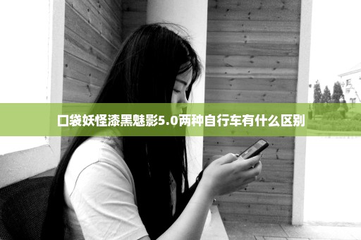 口袋妖怪漆黑魅影5.0两种自行车有什么区别