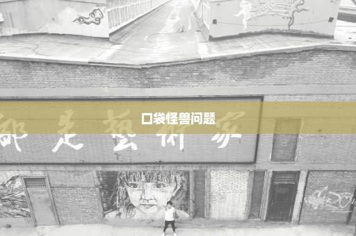 口袋怪兽问题