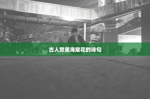 古人赞美海棠花的诗句