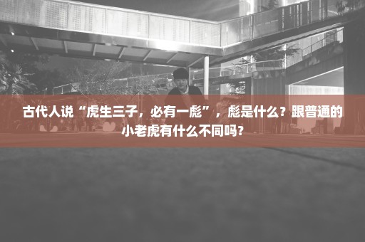 古代人说“虎生三子，必有一彪”，彪是什么？跟普通的小老虎有什么不同吗？