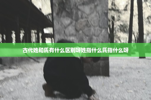 古代姓和氏有什么区别呀姓指什么氏指什么呀