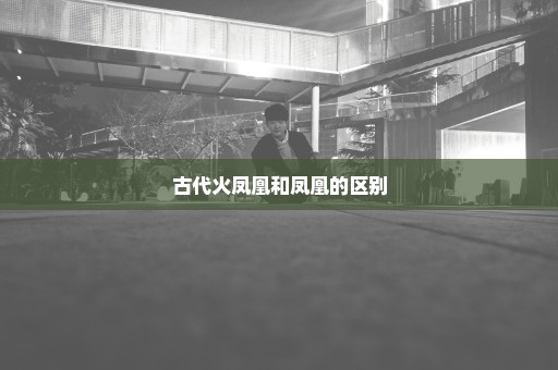 古代火凤凰和凤凰的区别