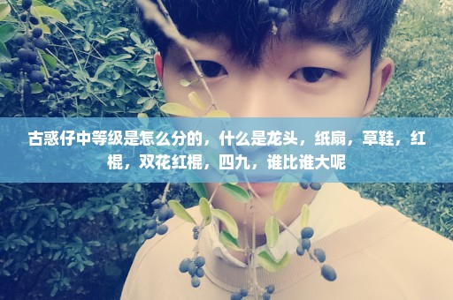古惑仔中等级是怎么分的，什么是龙头，纸扇，草鞋，红棍，双花红棍，四九，谁比谁大呢