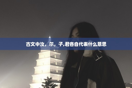 古文中汝，尔，子,君各自代表什么意思