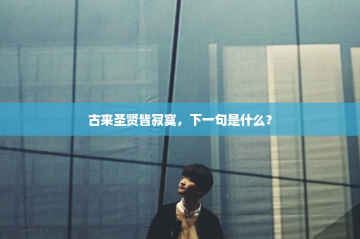 古来圣贤皆寂寞，下一句是什么？