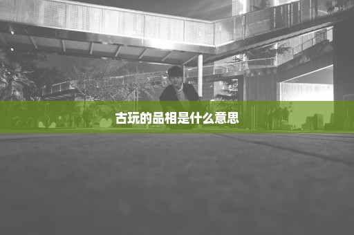 古玩的品相是什么意思