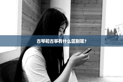 古琴和古筝有什么区别呢？