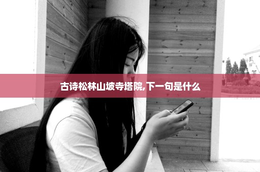 古诗松林山坡寺塔院,下一句是什么