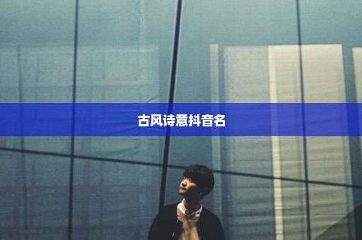 古风诗意抖音名