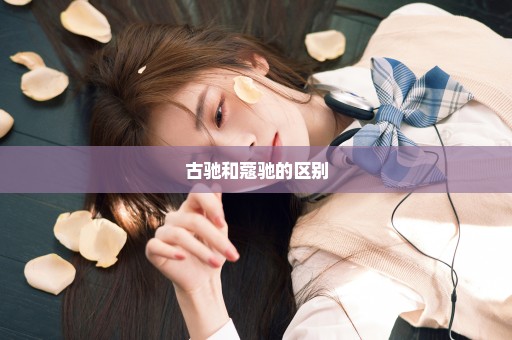 古驰和蔻驰的区别