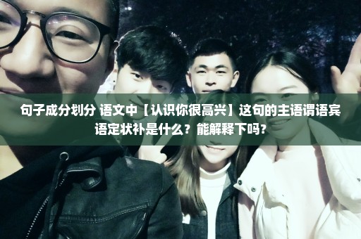 句子成分划分 语文中【认识你很高兴】这句的主语谓语宾语定状补是什么？能解释下吗？