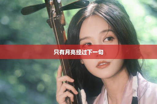 只有月亮经过下一句
