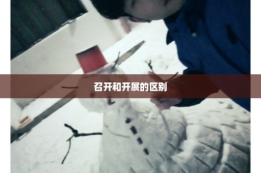 召开和开展的区别