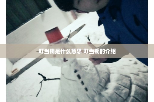 叮当镯是什么意思 叮当镯的介绍