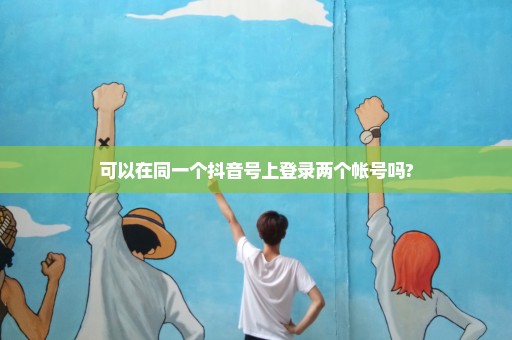可以在同一个抖音号上登录两个帐号吗?