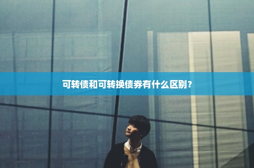 可转债和可转换债券有什么区别？