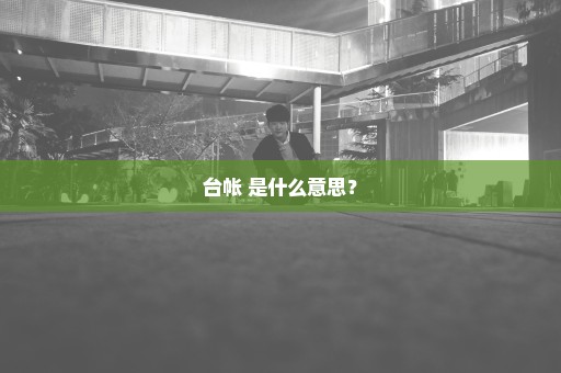 台帐 是什么意思？
