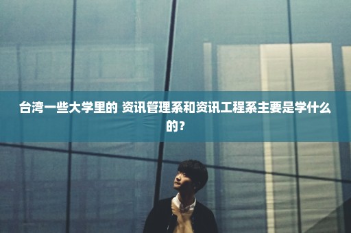 台湾一些大学里的 资讯管理系和资讯工程系主要是学什么的？