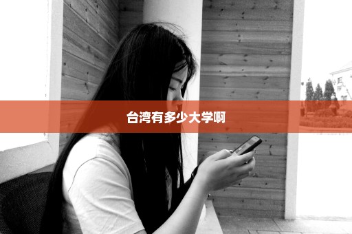 台湾有多少大学啊