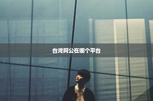 台湾阿公在哪个平台